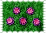 "H�kelblumen", lila, pink