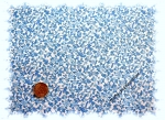 "Florencia" cotton printed, white blue