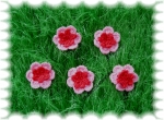 "H�kelblumen", rosa, rot