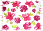 "Ladina" cotton printed Flowers white, hot pink
