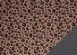 Preview: Fiete Nano-Softshell Leo apricot von Swafing