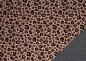 Preview: Fiete Nano-Softshell Leo apricot von Swafing