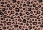 Preview: Fiete Nano-Softshell Leo apricot von Swafing