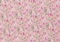 Preview: Little Spring Jersey in rosé mit kleinen Vögeln, Blumen und Blättern, Swafing, Stoff für Kinder und Erwachsene