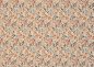 Preview: Mia Rippjersey Flowers ecru brown by Swafingummer Flowers Rippjersey ecru by Swafing