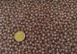 Preview: Benita cotton poplin brown fabric with small flowers