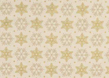 Big Stars Weihnachtsstoff  in ecru Baumwolle Webware mit Blumen, Sterne und Punkte