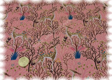 Folk Deers rose  Jersey Deers