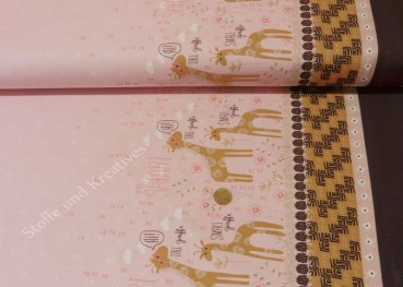 Gobi Kids rose Border