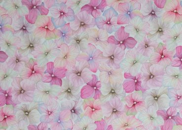 Fiete Nano-Softshell mit Veilchen in rosa Blumenstoff von Swafing