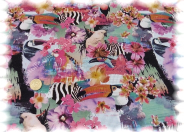 Paradise Kinderstoffe Jersey Stretchjersey Hilco Stoffe und Kreatives Jersey