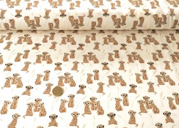 Erdmännchen creme or brown Hilco fabric for kids in natural colours cotton Elastic-Jersey meerkat 50 cm
