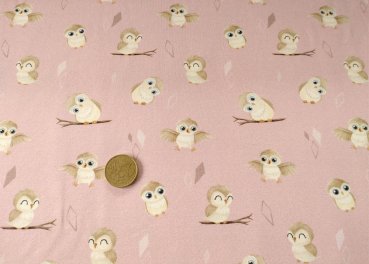 Preview: Euli Mrs. Mint Design Hilco Kinderstoff Jersey mit Eulen