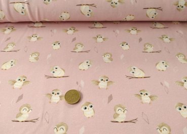 Euli Hilco Kinderstoff Eulenstoff Jersey Mrs. Mint  Design