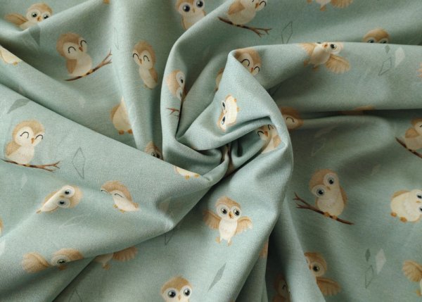 Euli Baumwolljersey Kinderstoff Eulenstoff mint Hilco und Mrs. Mint Design