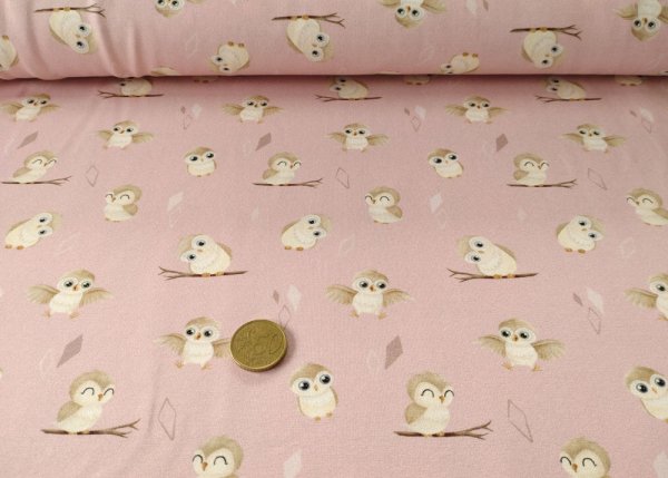 Euli Hilco Kinderstoff Eulenstoff Jersey Mrs. Mint  Design