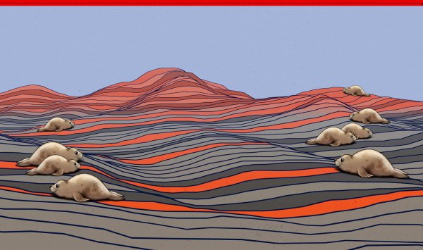 Salty Soul In the Dunes Jersey Panel Thorsten Berger grau orange komplette Breite