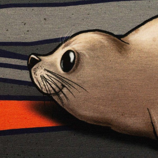 Salty Soul In the Dunes Jersey Panel Thorsten Berger grau orange Robbenstoff