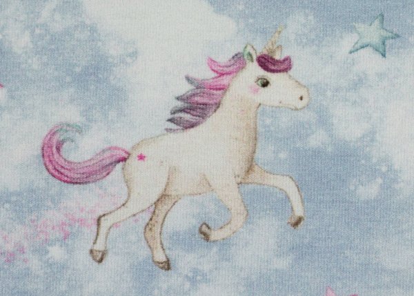 Miracle Swafing jersey unicorns light blue by Christiane Zielinski