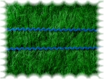 rick rack trim, blue