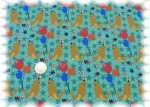 Circus Seal mint green Elastic-Jersey print Hilco