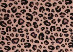 Fiete Nano-Softshell Leo apricot von Swafing