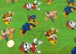 Paw Patrol Jersey Kinderstoff grün von Swafing