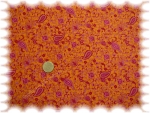 Blumenstoff,Paisleystoff,,Kinderstoffe Stoffe und Kreatives Kinderstoff