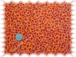 Evi cotton orange flowers    Rest 40 cm reduced!!