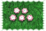 Häkelblumen  pink, weiß